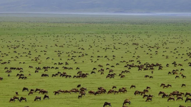 Tanzania